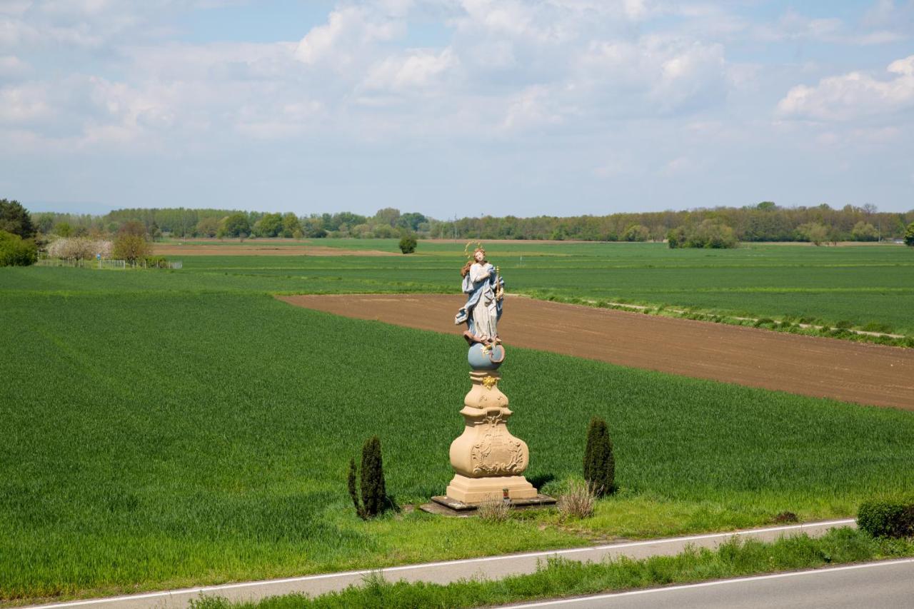 Schoener Wohnen Friesenheim  Zewnętrze zdjęcie