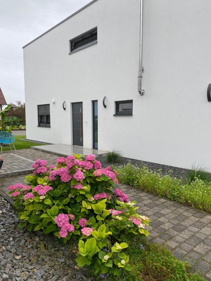 Schoener Wohnen Friesenheim  Zewnętrze zdjęcie